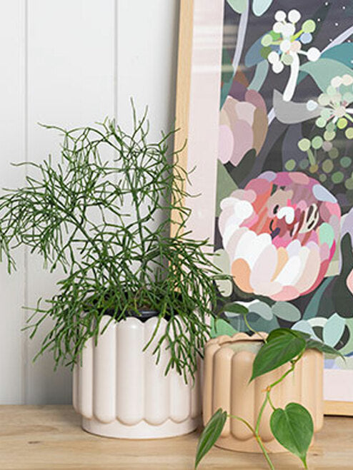 Vienna planter - Nude