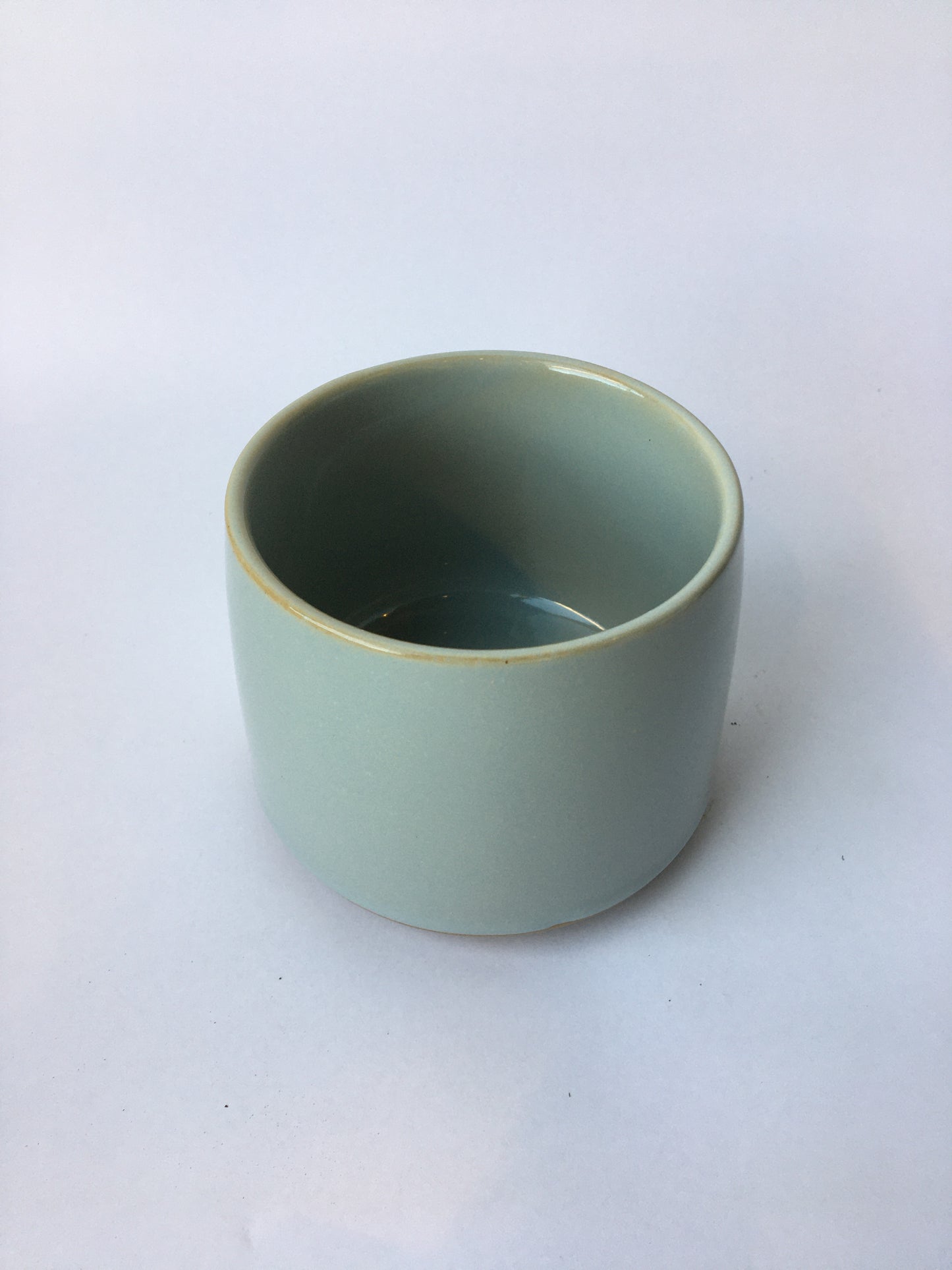 Lester Pot paired with 8cm Cacti or Succulent