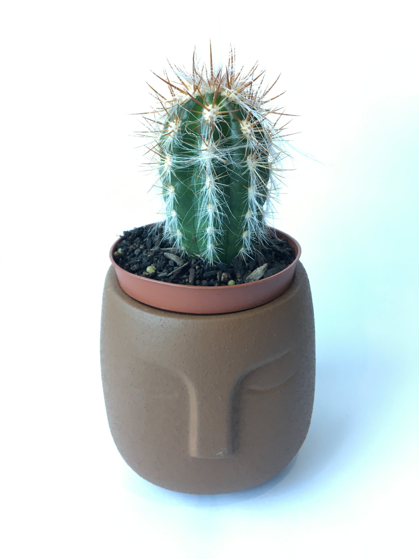 Sleeping face planter (pairs well with 10cm succulent)