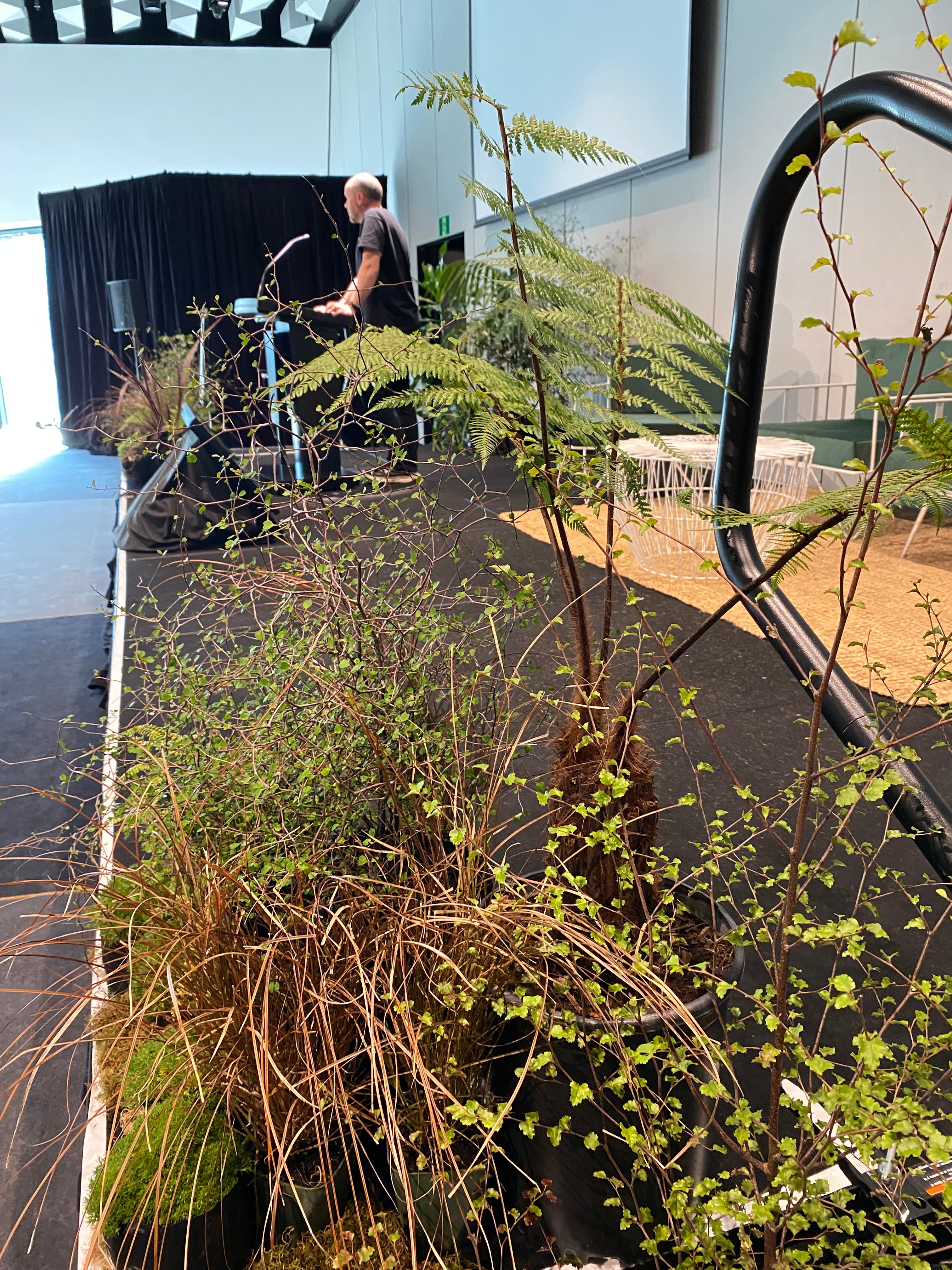 Using beautiful native plants for styling stage for a Convention at Te Pae, Christchurch Convention Center